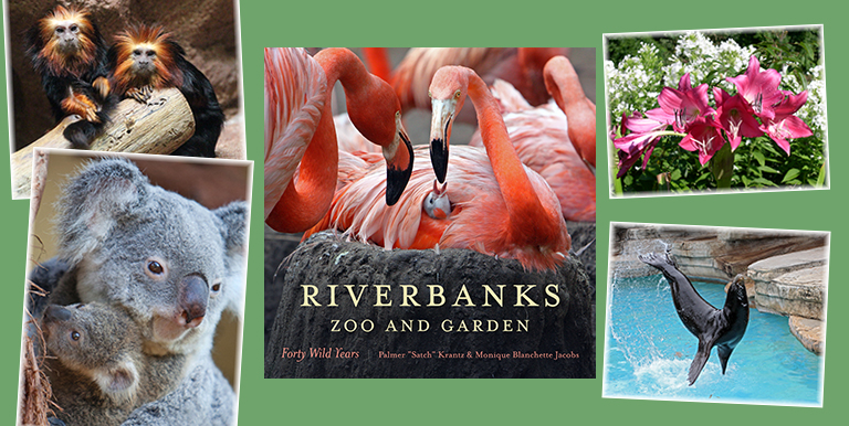 Discount coupons for riverbank zoo