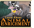 Learn about animal enrichment!