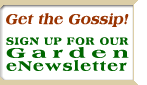 Get the Gossip! Sign Up for Our Garden eNewsletter