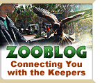 ZooBlog - Connecting You with the Keepers