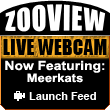 ZooView Live Webcam - Meerkats