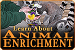 Learn about animal enrichment!