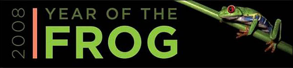 Year of the Frog