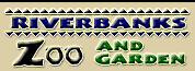 zoo, botanical garden, riverbanks, columbia, sc, south carolina, ballentine, irmo, chapin, lexington, richland, real estate, animal, lion, bear, tiger, field trip, kid friendly, activity, kathy smith, real estate, realtor, russell, jeffcoat, midlands, koala