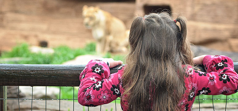 Animals Riverbanks Zoo Garden