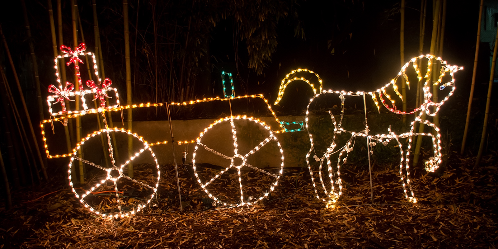 riverbanks zoo christmas lights | www.semashow.com