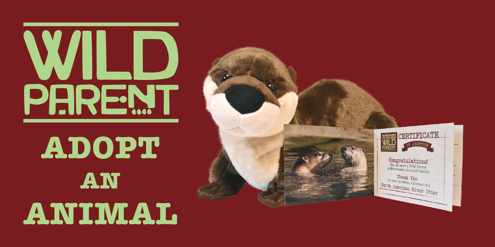 Wild Parent :: Adopt an Animal