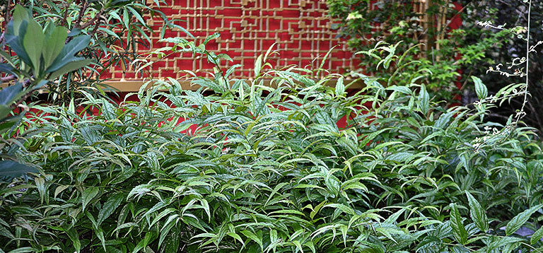 Botanical Garden Riverbanks Zoo Garden