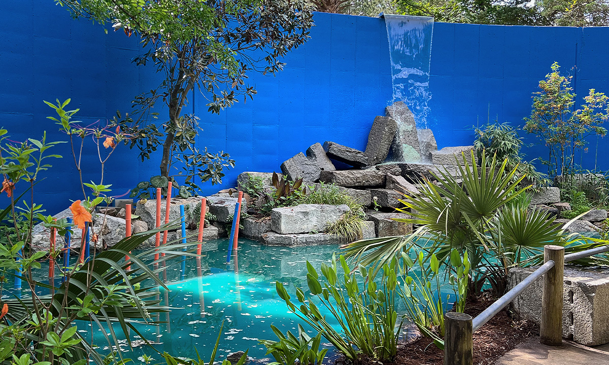 Bog Garden :: Riverbanks Zoo & Garden