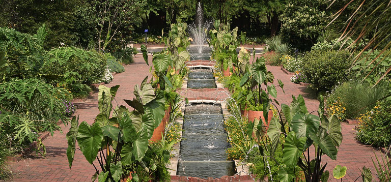 Riverbanks Botanical Garden