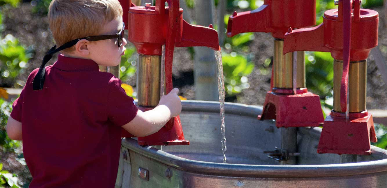 Waterfall junction riverbanks zoo garden