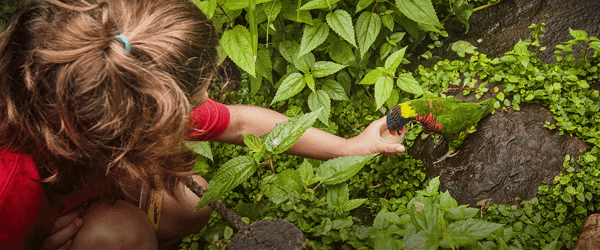 Zoo Camp Riverbanks Zoo Garden