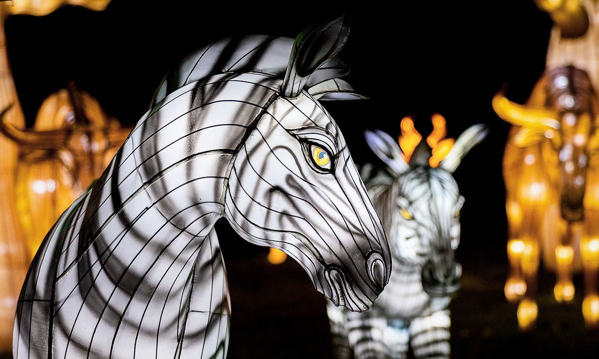 Wild Lights Riverbanks Zoo & Garden