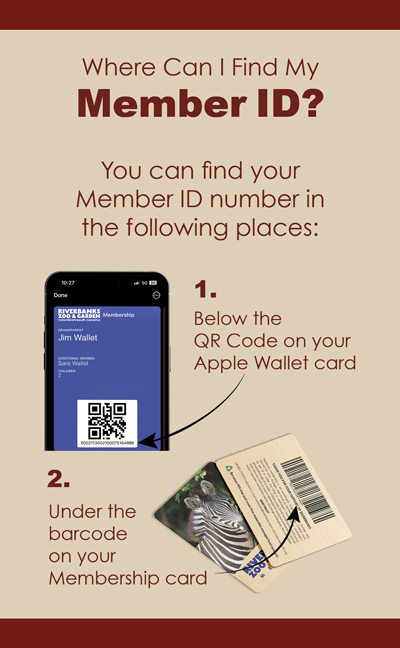 Your Card Number is the value under the barcode on your membership card or digital membership.